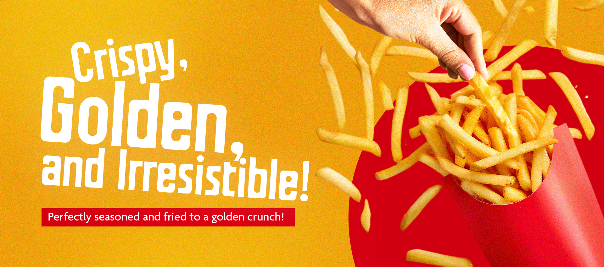 fries (1)